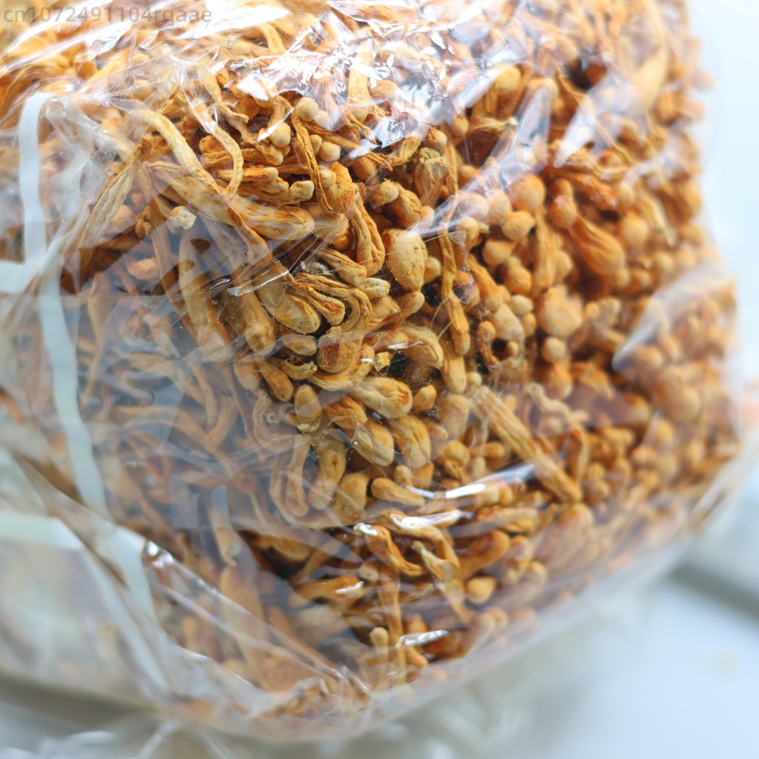ดอกถั่งเช่าแห้งธรรมชาติคุณภาพพ - Soap Making Diy Kit บทวิจารณ์และราคา